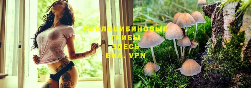 Псилоцибиновые грибы MAGIC MUSHROOMS  Волоколамск 